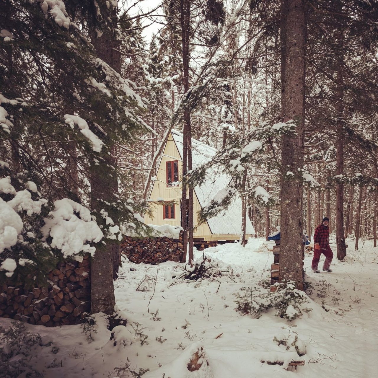 chalet-foret-hiver-les-fougeres.jpg