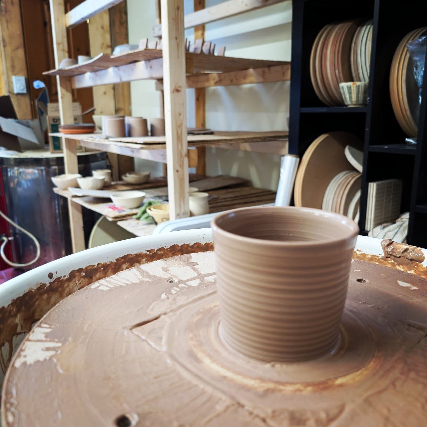 Poterie au tour - Les fougères